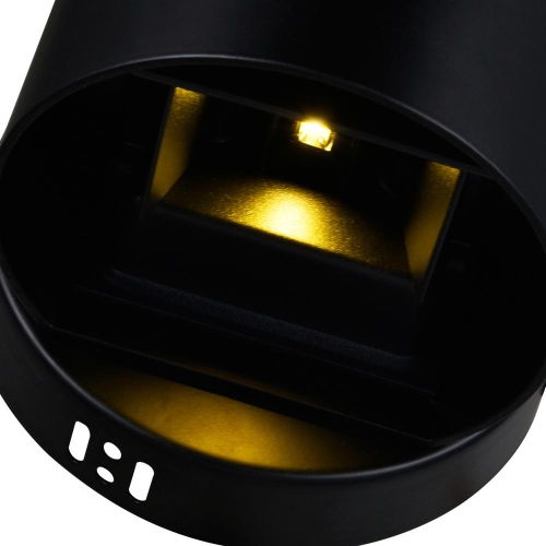 Lilliana LED Wall Sconce With Black Finish