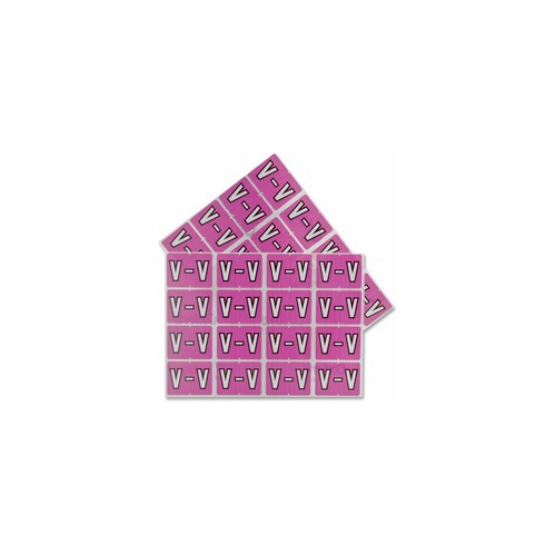 Pendaflex color Coded Label