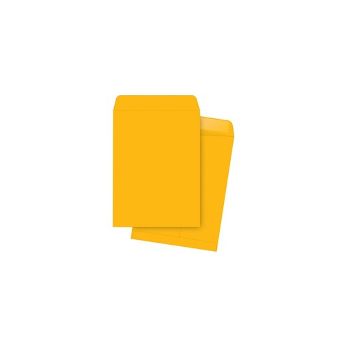 Business Source – Enveloppes à catalogues avec rebord en papier kraft