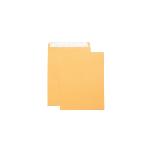 BUSINESS SOURCE  Self Adhesive Kraft Catalog Envelopes (42121)