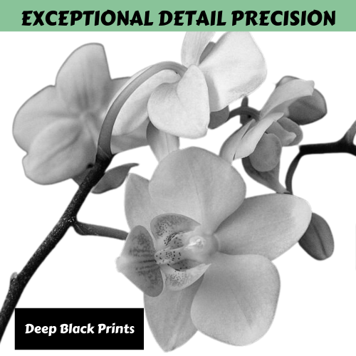 PRINTOXE® CF258X / 58X | Without Chip | Compatible with HP - High Yield CF258A / 58A Prints 10K Pages for M304 M304a M305d M305dn M404d M404n M404dn