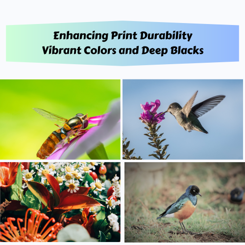 Compatible avec le jeu de couleurs TN 227 cyan magenta | avec puces | sans BK - 3 cartouches de toner pour Brother HL/MFC