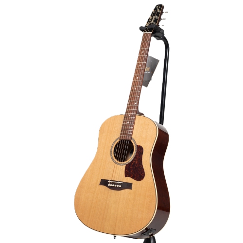 Seagull Coastline Momentum Acoustic-Electric Guitar