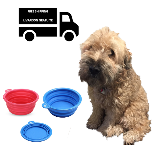 STIMULA LIFESTYLE  - All In One Collapsible Dog, Cat, Camping & Pet Bowl Set - Outdoor & Indoor Package Of (2) Blue & In Red