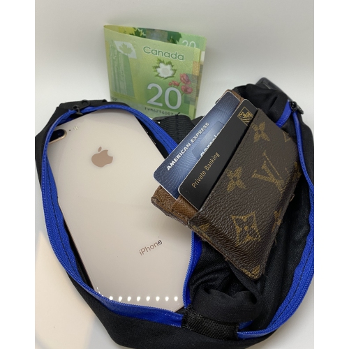 Stimula Lifestyle TOGO Sports Waist Bag, Fanny Pack, Running Belt, Travel Bag, Workout Bag, Apple iPhone Pouch - Blue