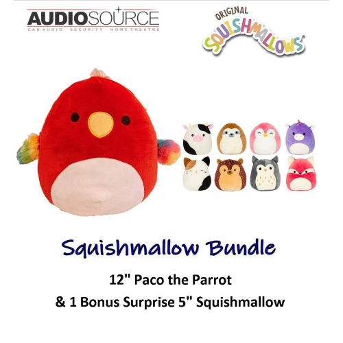 squishmallows paco the parrot