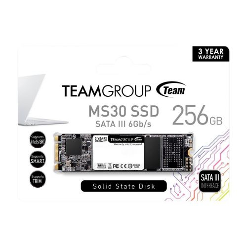 Team Group MS30 M.2 2280 256GB SATA III TLC Internal Solid State Drive