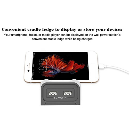 Huntkey 2-Outlet Wall Mount Cradle with Dual 2.1 AMP USB Charging Ports, SMD407