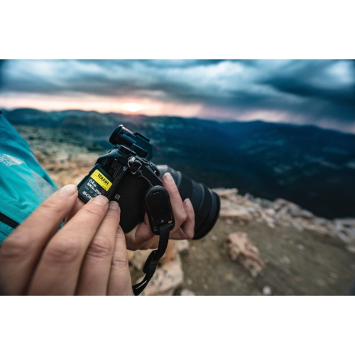 Sony 128GB SF-G Tough Series SD Card #