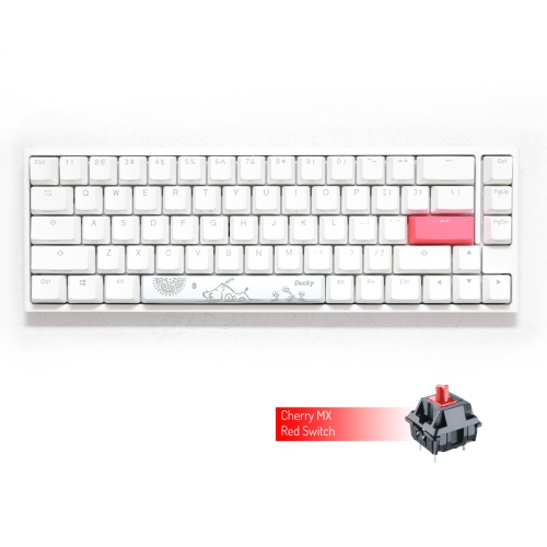 Ducky ONE 2 RGB Mechanical Keyboard, Cherry MX Red, Anti-Ghosting 4-layer PCB, PBT Double shot keycaps, Detachable USB Type-CSF Layout, White