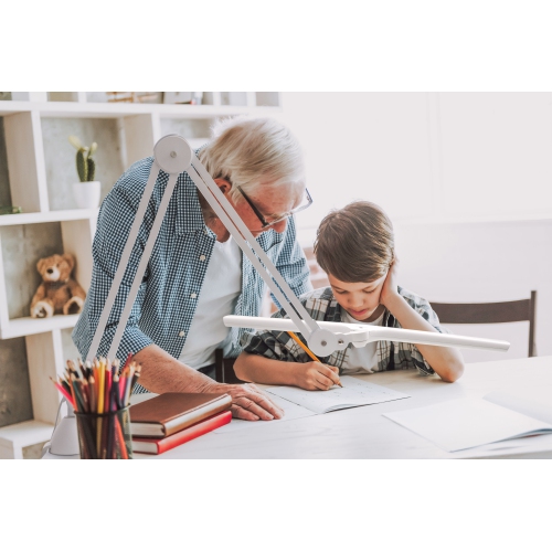 DAYLIGHT LED Lumi Task Lamp