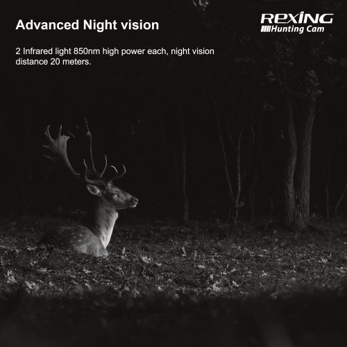 Rexing H2 4K Wi-Fi Trail Camera with Ultra Night Vision for Hunting Games and Wildlife Monitoring