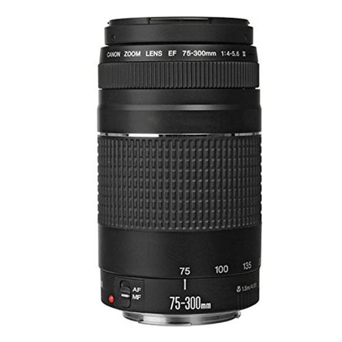 Canon EF 75-300mm f/4.0-5.6 III Autofocus Lens Bundle For T5 T6 T6i T6s 70D 80D