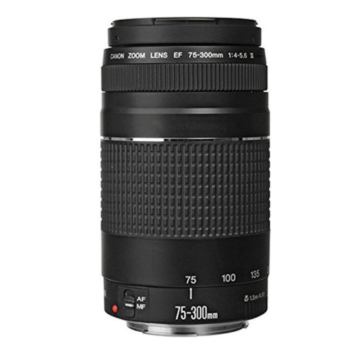 Canon EF 75-300mm f/4.0-5.6 III Lens Bundle for Canon T5 T6 T6i 70D 80D 5D Mark