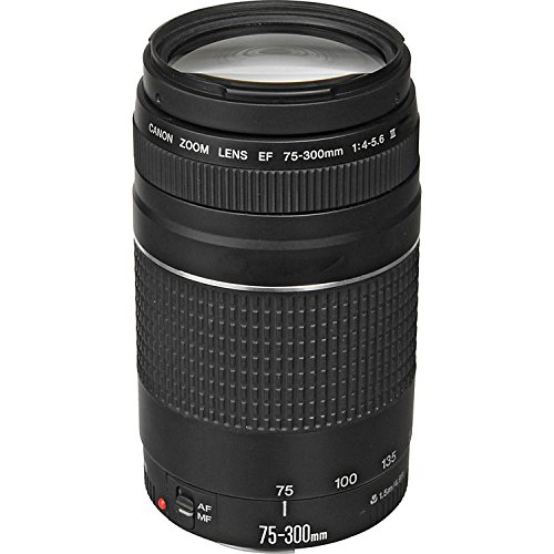 Canon newest EOS Rebel T3 LENS ONLY EF 75-300mm