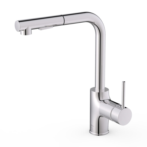 Single Handle Pull Out Kitchen Faucet with Dual Spray, Light Chrome