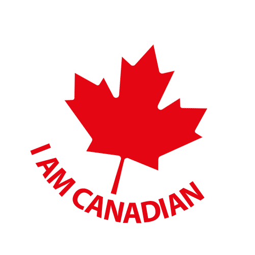 Compatible avec les cartouches d'encre 150XL de Lexmark, CINQ ENCRES - 4 couleurs/2K/1C/J/M, expédition gratuite à haut rendement - Société canadienne