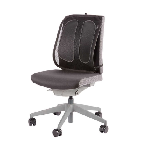 Office Back Support Plus | Lumbar Support for Office Chair | Ergonomic Lumbar Support