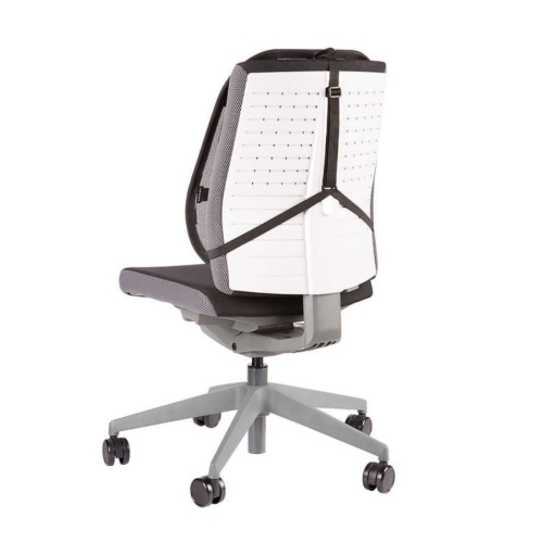 Office Back Support Plus | Lumbar Support for Office Chair | Ergonomic Lumbar Support