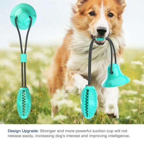 pet toys canada