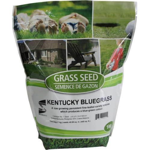 1kg Kentucky Bluegrass Grass Seed Best Buy Canada