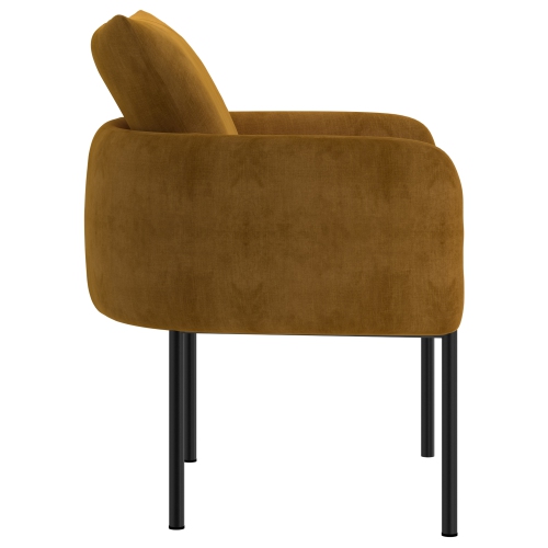 Viva Lifestyle Furiture ACCENT CHAIR - MUSTARD/BK LEG