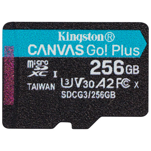 Kingston Canvas Go! Carte mémoire microSDXC de 170 Mo/s de 256 Go Plus