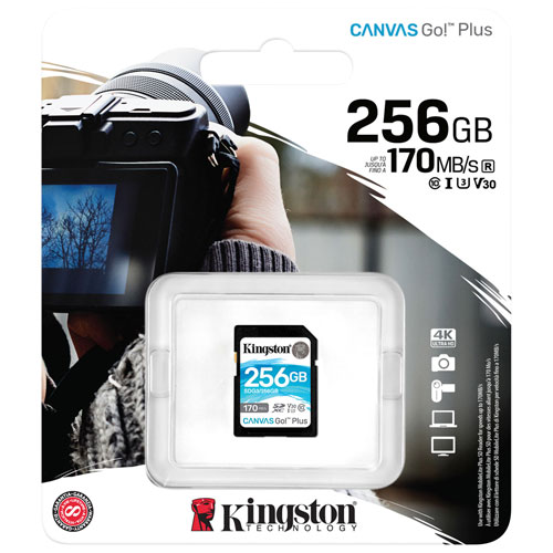 Kingston Canvas Go! Plus 256GB 170MB/s SDXC Memory Card | Best Buy 