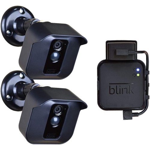 blink xt google home