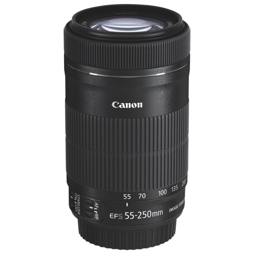 Canon EF-S 55-250mm f/4-5.6 IS STM Lens - Open Box