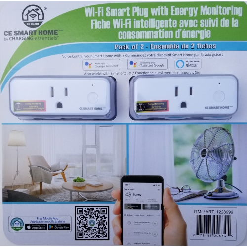 ce smart google home