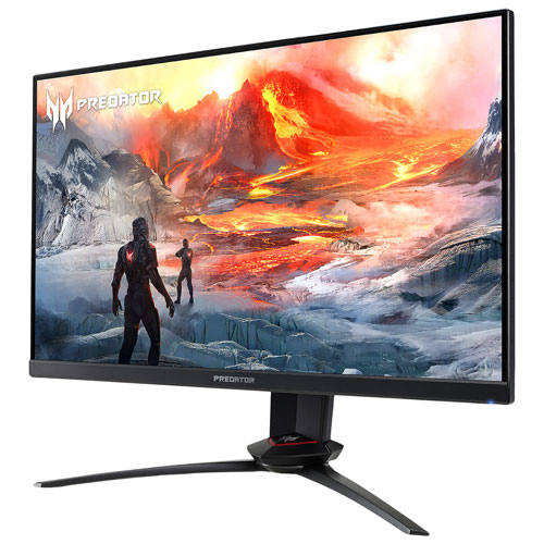 Acer Predator 24.5