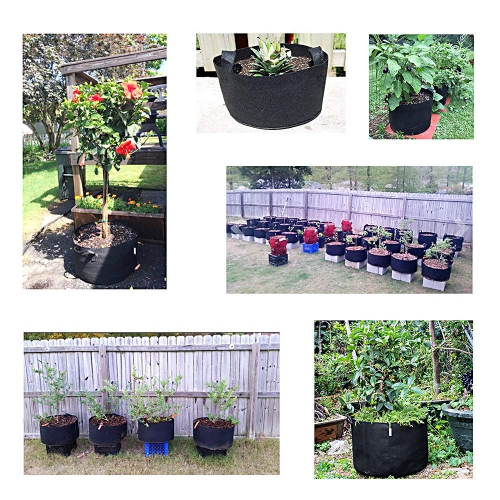 5-Pack 5 Gallon Planting Grow Bags with Handles for Vegetable Flower Plant Container Aeration Fabric Pots, Come with 1 Free 3 Gallon Smart Grow Bag