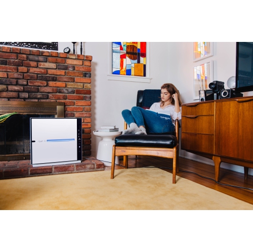 Rabbit Air MinusA2 Ultra Quiet HEPA Air Purifier