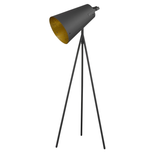 ACCLAIM LIGHTING  Faza 1-Light Matte Floor Lamp In Black