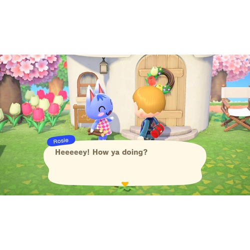 Animal Crossing: New Horizons [Nintendo Switch]