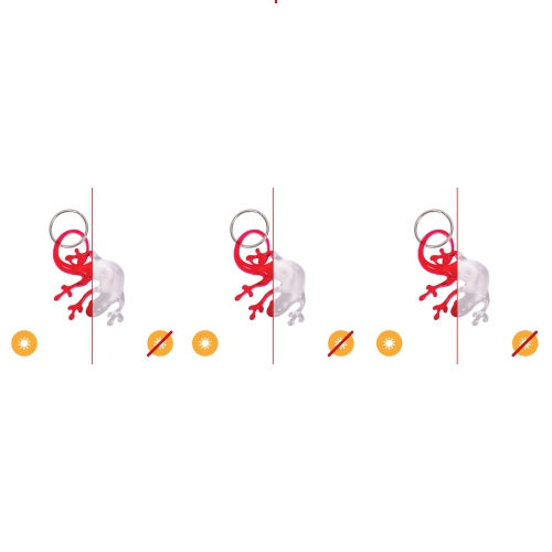 Color-Changing Key Chain Lizard - Red by DelSol for Women - 1 Pc Keychain - Pack of 3