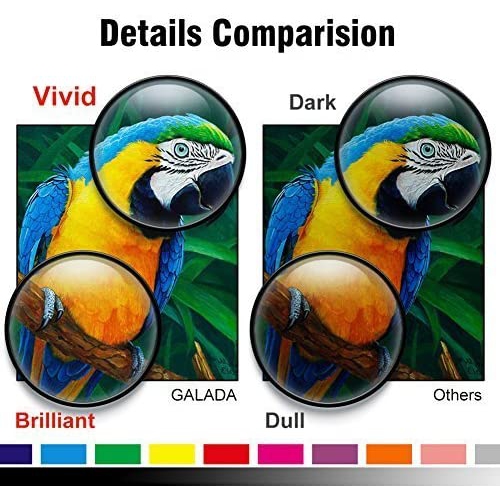 Conink Pgi-250xl Cli-251xl Ink Cartridges Compatible to Pixma Mx922 Mx722 Ip7220 Ip8720 Ix6820 Mg5420 Mg5422 Mg5520