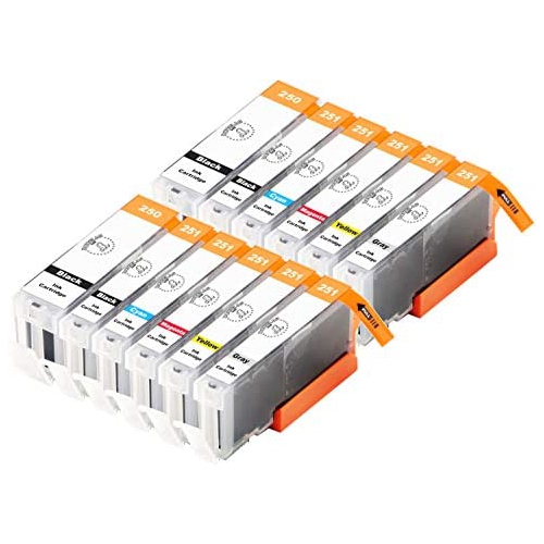 12 PCS Douglas Inks Compatible Ink Cartridge Replacement for Canon PGI-250XL CLI-251XL PIXMA MG5450 MG5620 MG6320