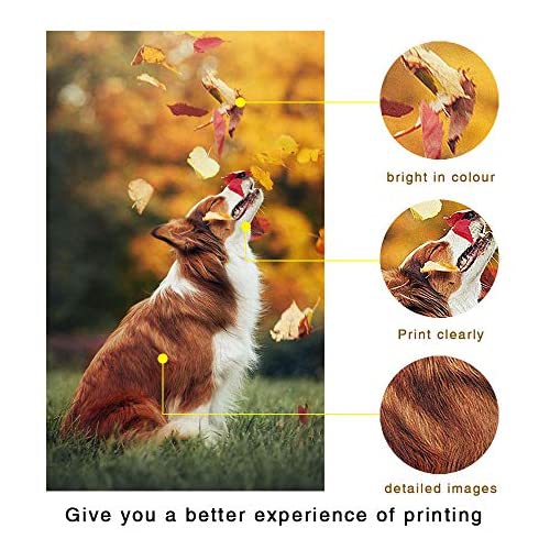 1 Pack Yellow CLT-406S C406S Toner Cartridge Replacement for Samsung CLP-365 CLP-365W CLP-360 CLX-3300 CLX-3305