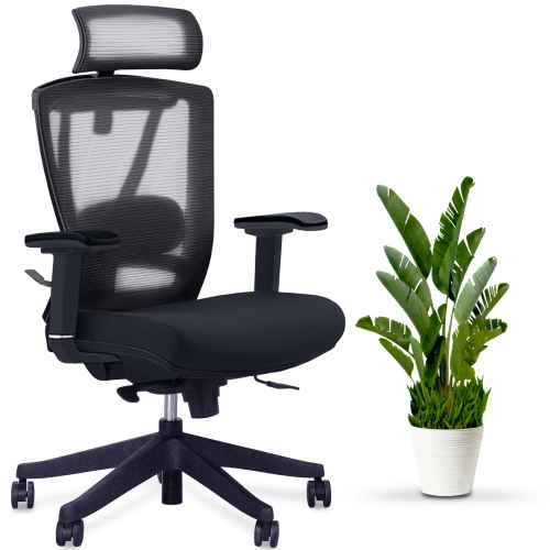 AeryChair - Fully Adjustable Ergonomic Mesh Office Chair with 4D Armrest & Lumbar Support