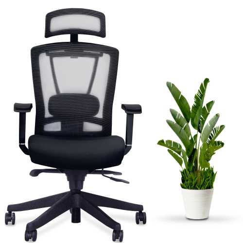 Image 3 of 8.. ErgoChair Executive Home Office Desk Chair with Lumbar Support 4D Armrest Adjustable Task Chair - Black