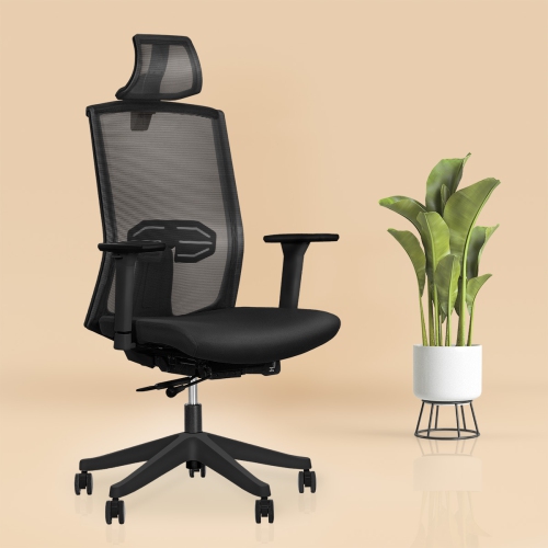 EFFYDESK KarmaChair Best Ergonomic Office Chair with Adjustable Lumbar-Support and Mesh Back