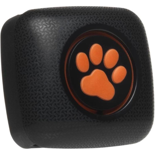 dog activity monitor