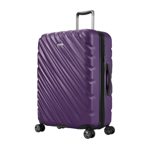 ricardo purple luggage