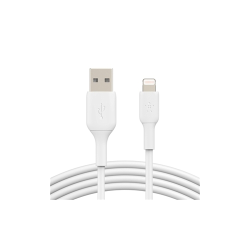 BST CHGR LGTING to USB-A Cable