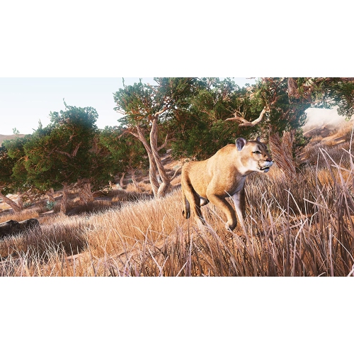 Hunting Simulator PS4