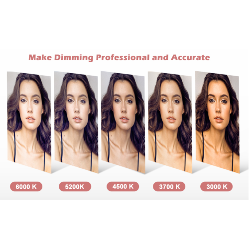 UBeesize 8" Selfie Ring Light with Tripod Stand & Cell Phone Holder for Live Stream/Makeup, UBeesize Mini Led Camera Ringlight for YouTube