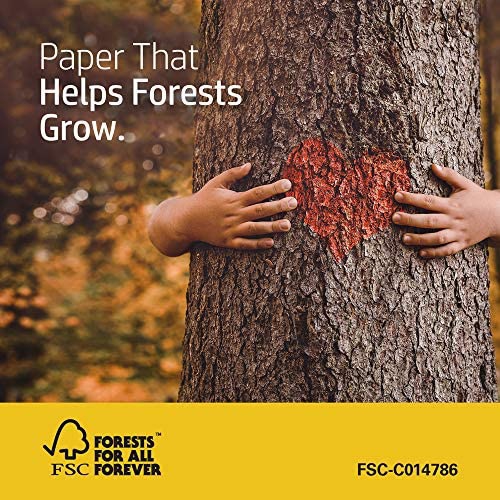HP Printer Paper 8.5x11 MultiPurpose 20 lb 3 Ream Case 1500 Sheets 96 Bright Made in USA FSC Certified Copy Paper HP