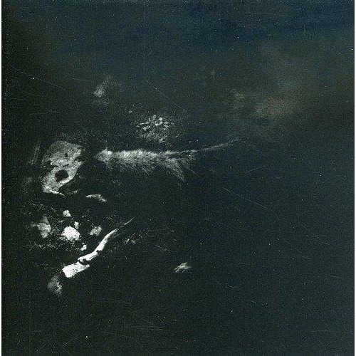 JUST4GAMES  The Womb Of Primordial Nature [Audio CD] October Falls